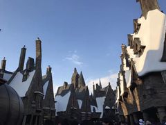 -哈利波特魔法世界