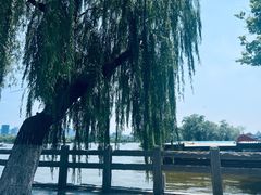-济南大明湖景区