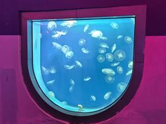 -福州罗源湾海洋世界旅游区