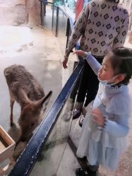 -酷嗒动物文化乐园(cutezoo西溪乐天城店)