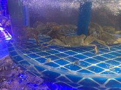 -五月罗马海鲜烤肉自助餐厅(印象城店)