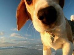 -巴厘岛风情自助餐厅(牡丹广场店)