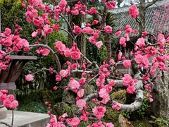 -成都杜甫草堂博物馆