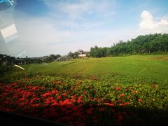 -美视五月花高尔夫度假酒店(滨海西店)