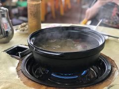 -一煲鸽