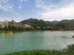 -后柳水乡
