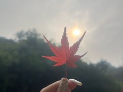 -营口金泰珑悦海景大酒店