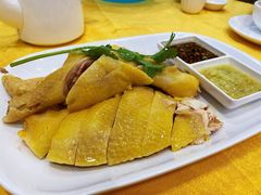 -巫记鸡饭店