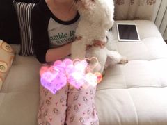 -中农大我爱我爱24h动物医院·中医针灸·猫专科·骨科医疗中心(双井店)