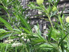 -广州神农草堂中医药博物馆