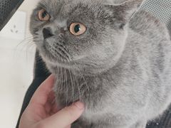 -宠颐生宠物医院·骨外科·犬猫全科诊疗中心(池州店)