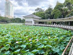 -荔湾湖公园