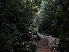 -青城山