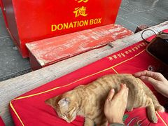 -龙华素斋(龙华路店)