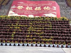 -大槐树寻根祭祖园