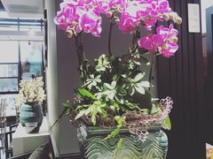 -蜀九香.正宗成都火锅(安吉店)