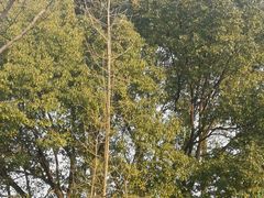 -范蠡湖公园