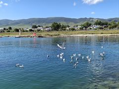 -青海湖国家重点风景名胜区