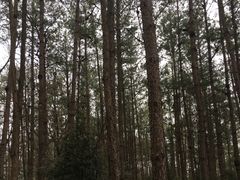 景点-剑门关风景区