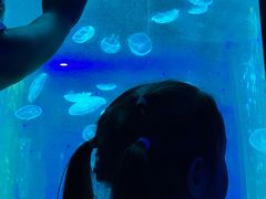 -南昌海洋公园