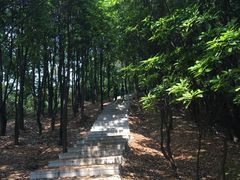 -火炉山森林公园