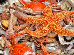 -船梆煮•蒸汽海鲜·炉火烤肉(五四广场店)