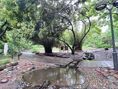 -成都市活水公园