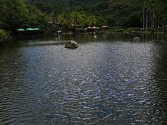 -呀诺达热带雨林