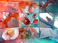 海妖酒吧-Sirena海妖日咖夜酒