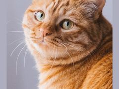 -十四年中餐厅时间仓(洋湖新城店)