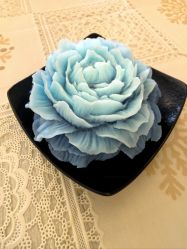 -喜宝悉贝月子会所(锦江店)