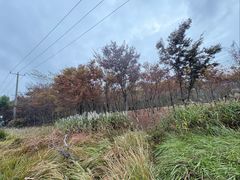 -嘉北郊野公园