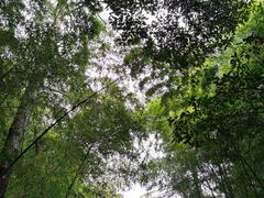 -苏州环秀晓筑养生度假村