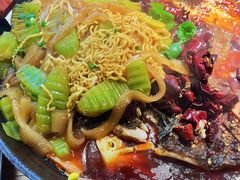 泡面-吴星星毛血旺烤鱼