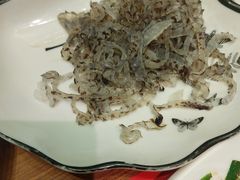 -时光码头民谣公社