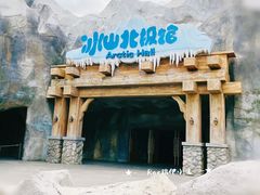 -上海海昌海洋公园