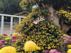 -上海共青森林公园