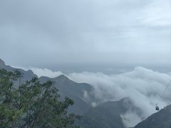 -泰山风景名胜区