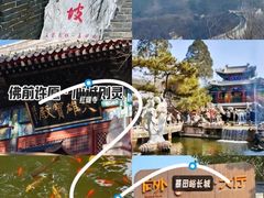 -向外鱼乐·土菜·虹鳟鱼