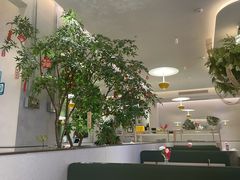 -Aqua Oasis 水天堂(太湖中心mall店)