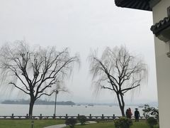 -杭州西湖柳莺里酒店·闻莺厅