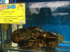 -蚝专家(北滘店)