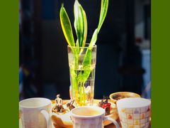 -袁亮今日陶艺(苹果社区总店)