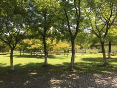 -白塘生态植物园