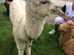 -瑞博尔花园酒店(太周创新产业园店)