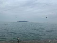 -幸福门