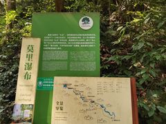 -莫里热带雨林景区