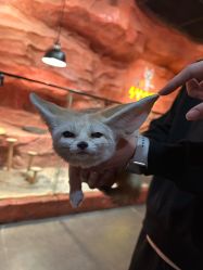 -Zoolung Zoolung动物主题公园(海信广场店)