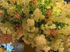 -潮舍(环球金融中心店)
