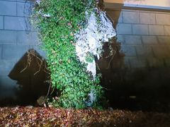 -苏苑饭店-中餐厅(长桥地区店)